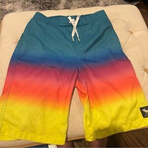 Abercrombie & Fitch Teal Swim Shorts